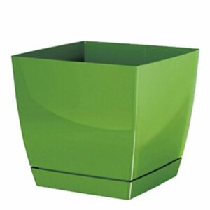 catalog product