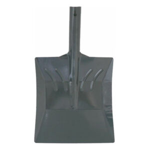 catalog product