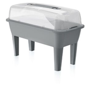 catalog product